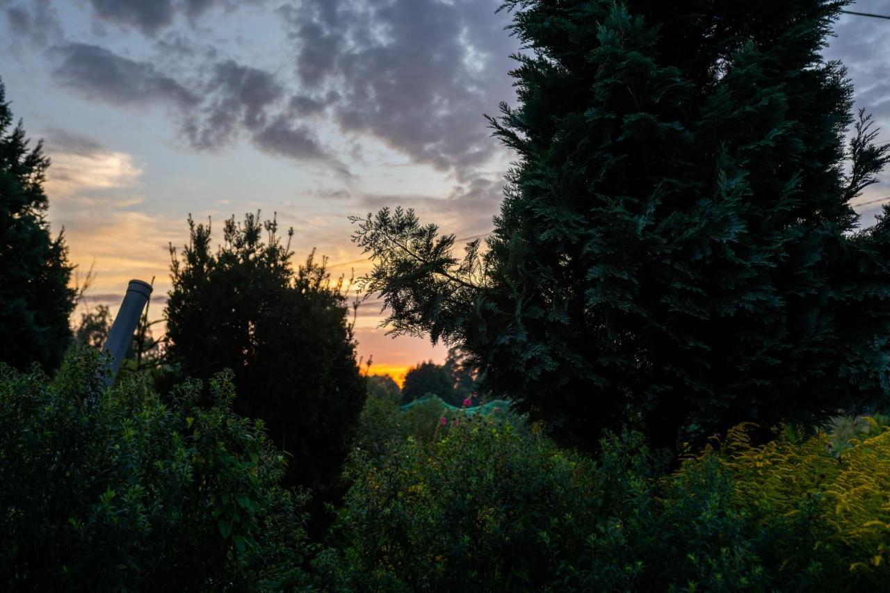 Penzion Bizon Sadowne Exteriér fotografie