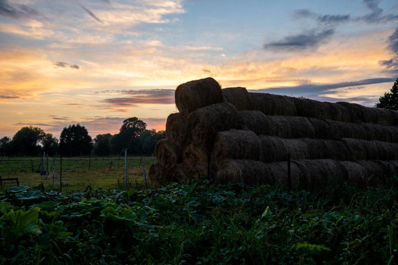 Penzion Bizon Sadowne Exteriér fotografie