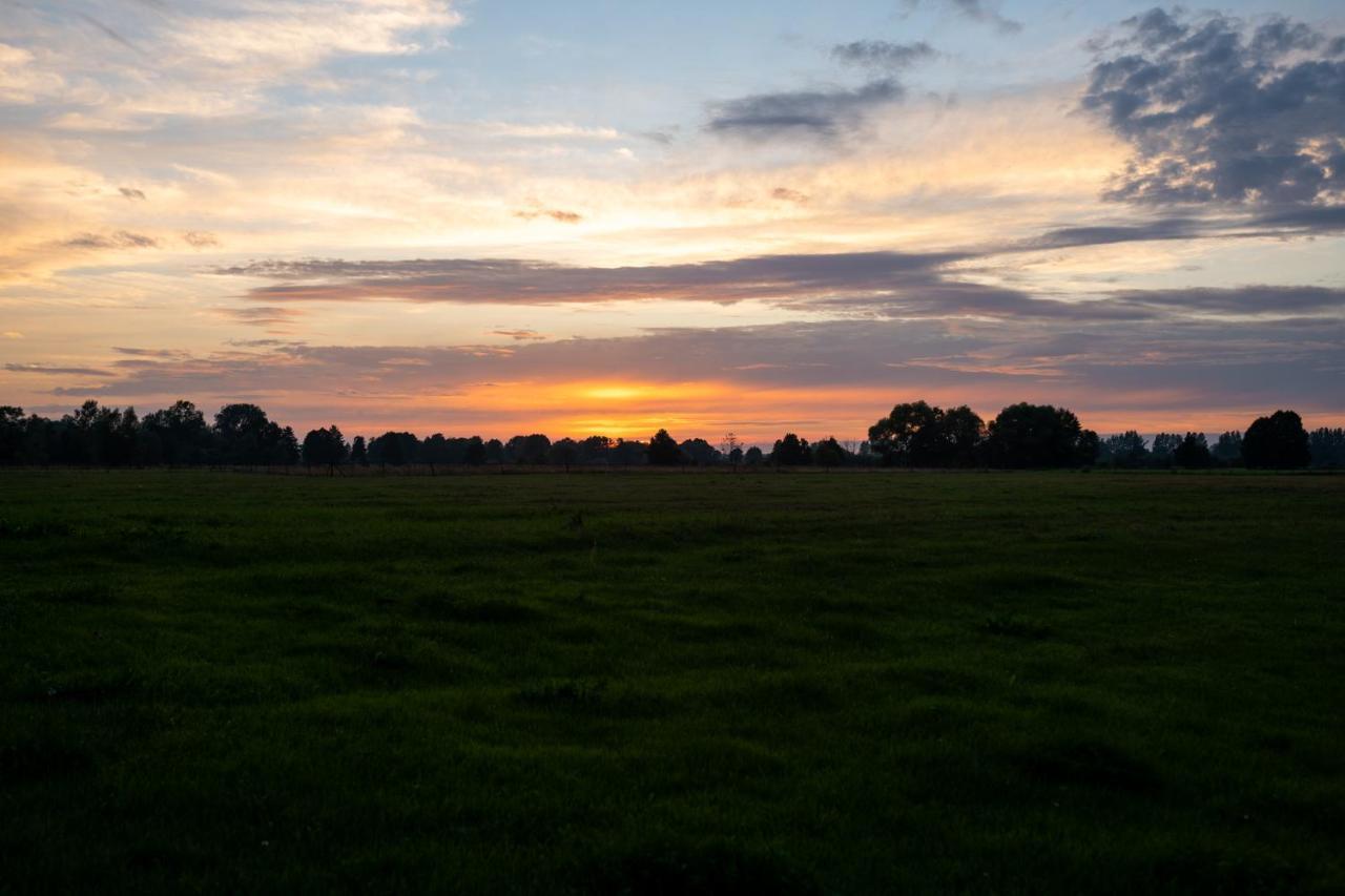 Penzion Bizon Sadowne Exteriér fotografie