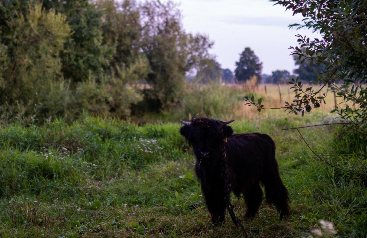 Penzion Bizon Sadowne Exteriér fotografie