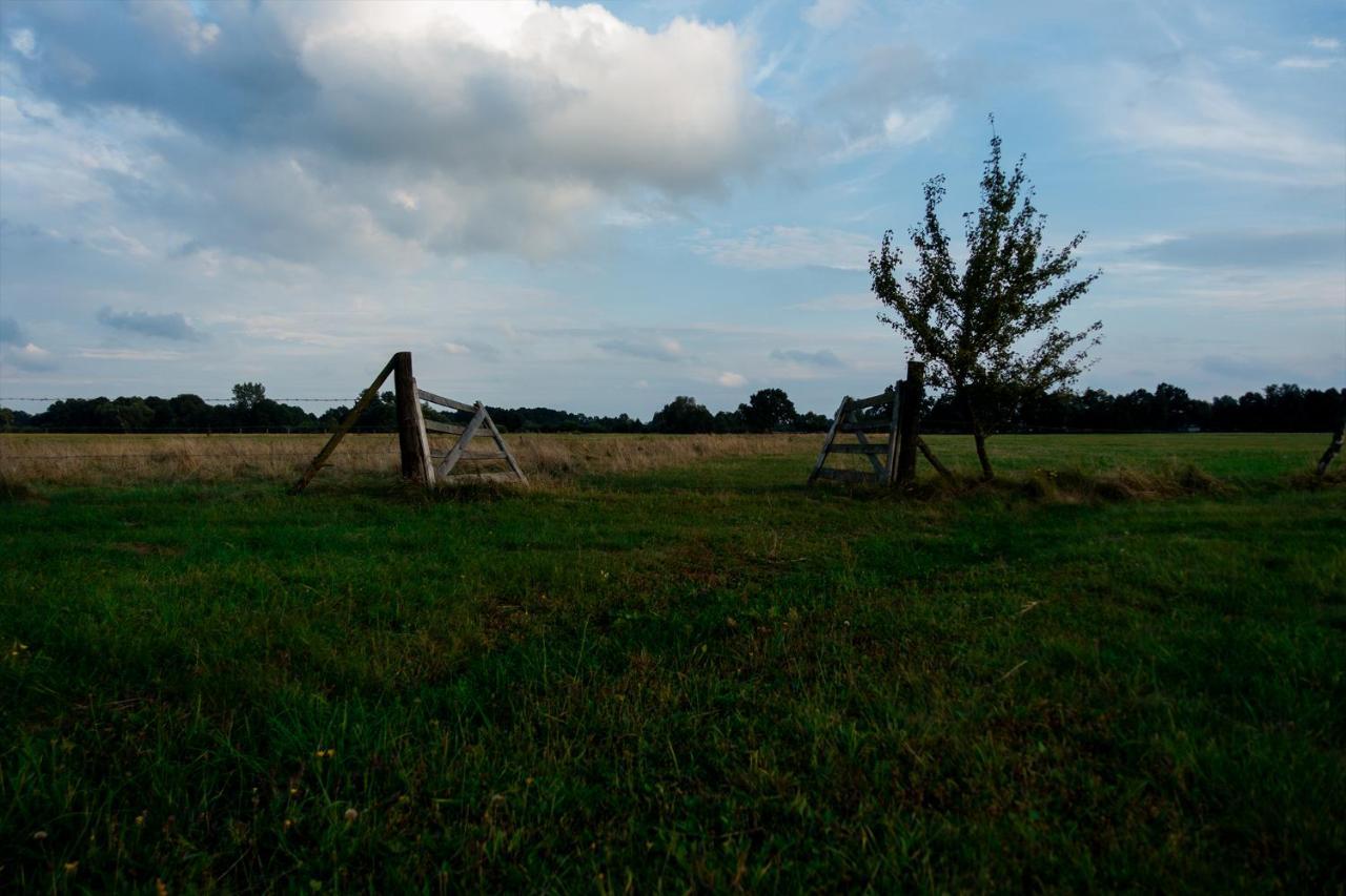 Penzion Bizon Sadowne Exteriér fotografie