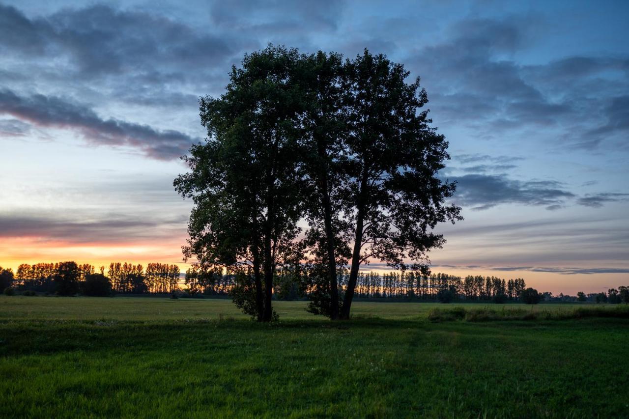 Penzion Bizon Sadowne Exteriér fotografie