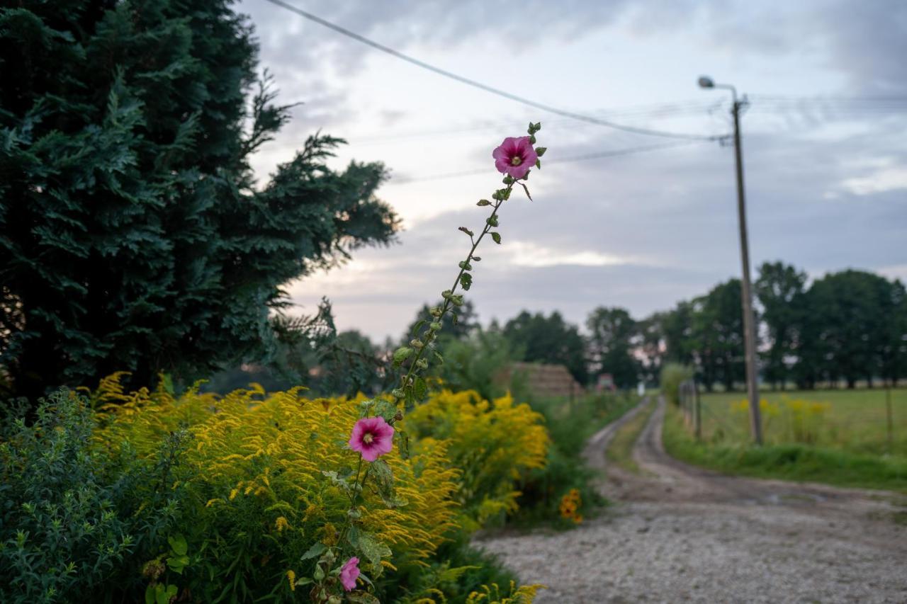 Penzion Bizon Sadowne Exteriér fotografie