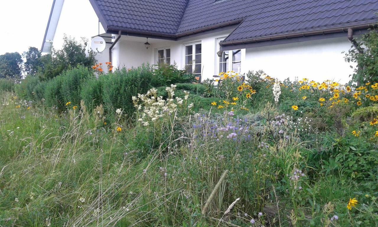 Penzion Bizon Sadowne Exteriér fotografie